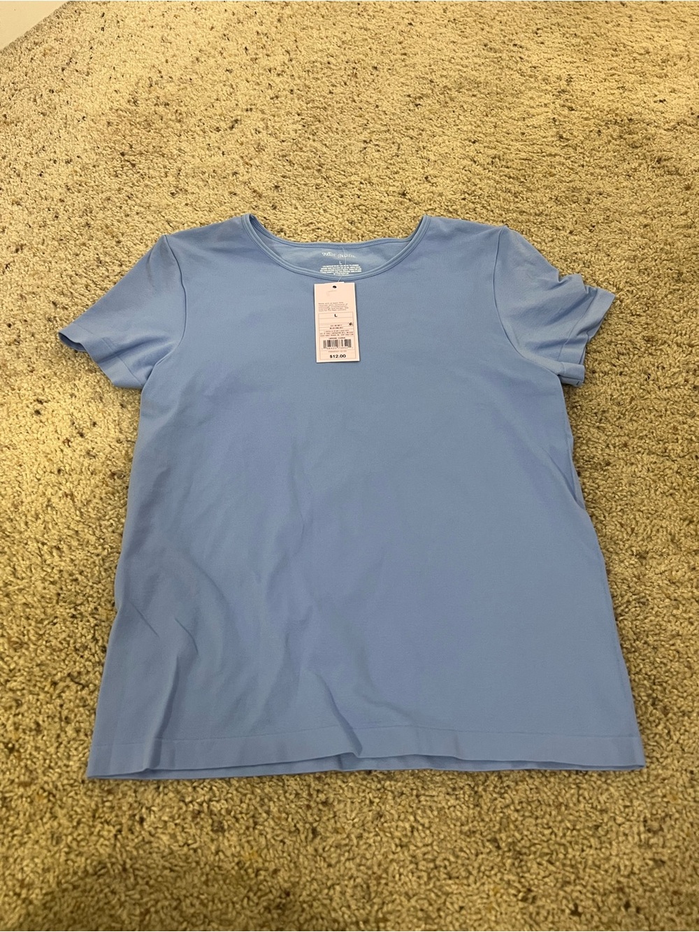 Women’s Wild Fable Classic Crewneck Tee in Light Blue